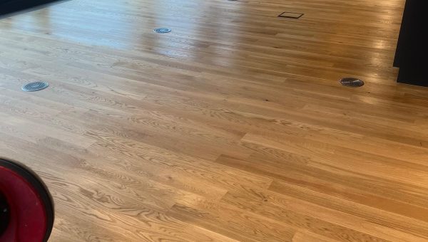 WhatsApp Image 2025-10-30 at 20.26.11_062eaf41